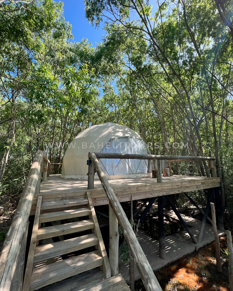 Helicopter flight and glamping at the Delta