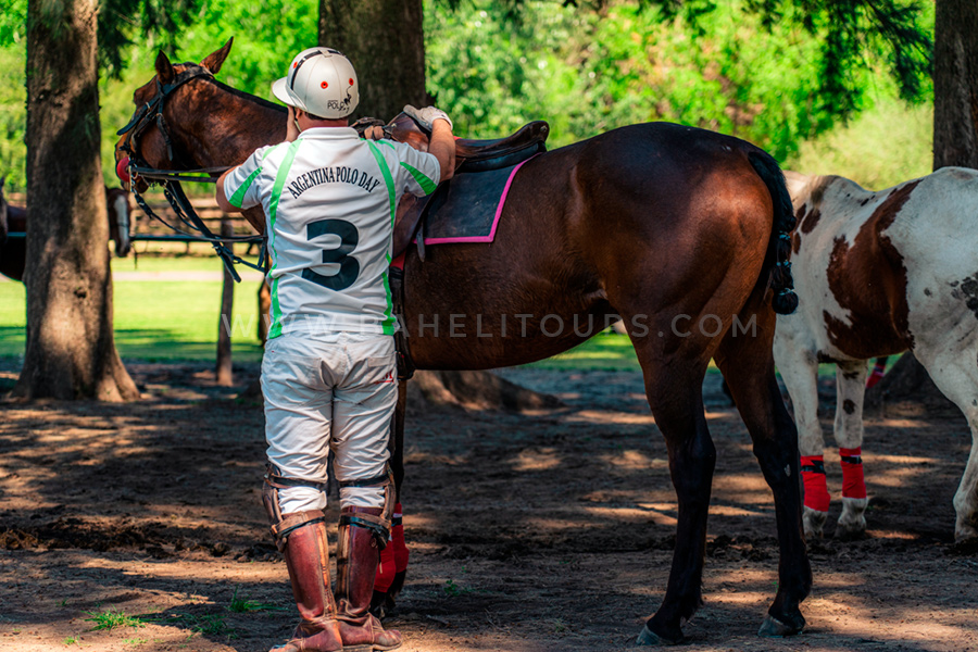 Helitour + Polo day — photo 3