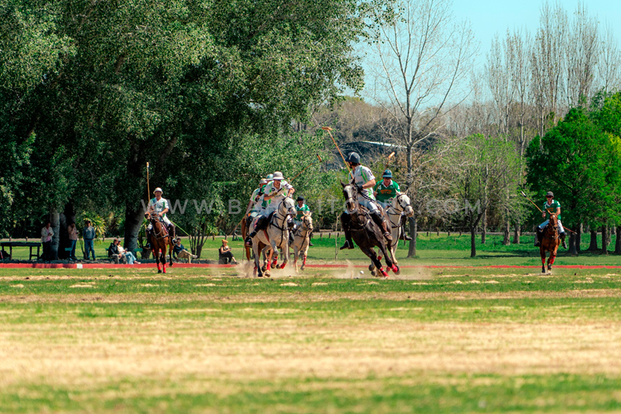 Helitour + Polo day — photo 6