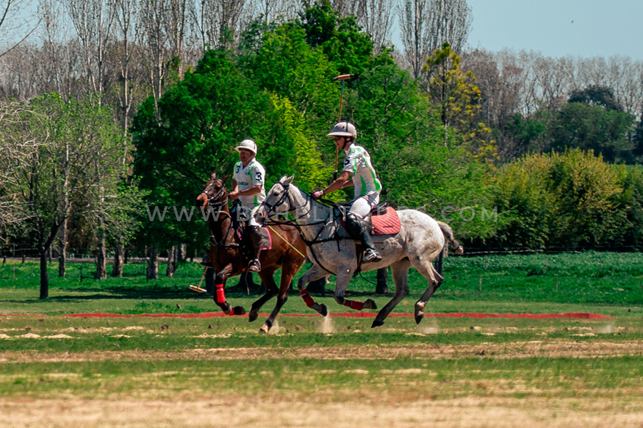 Helitour + Polo day — photo 7